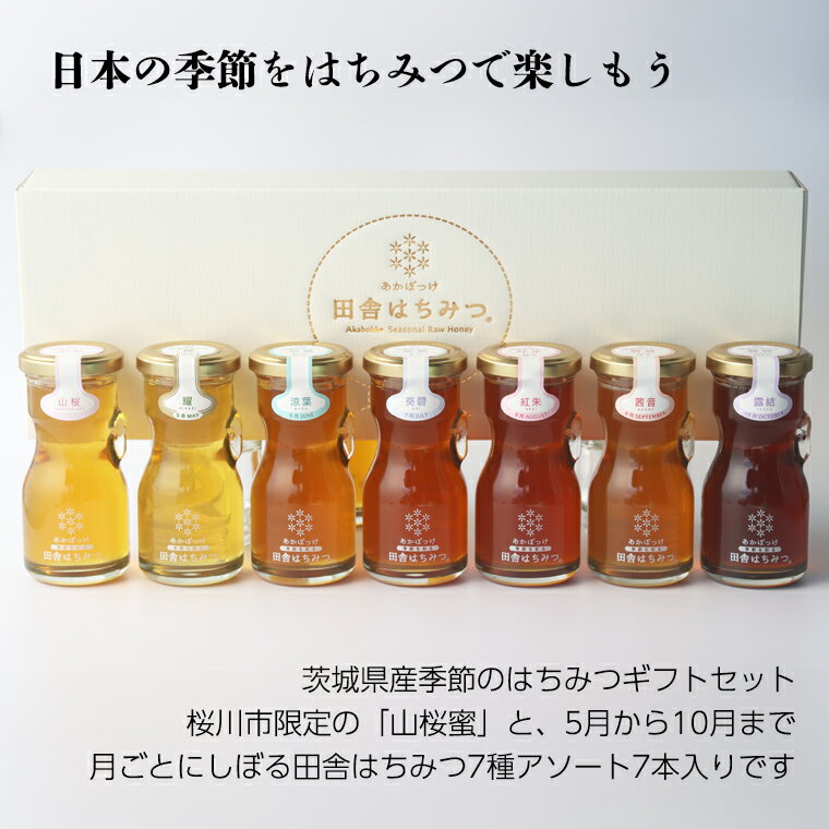 送料無料 北海道、離島を除く【ボルドーニ アカシアハニー150g×6個セット】蜂蜜 はちみつ ハチミツ※お取り寄せ品