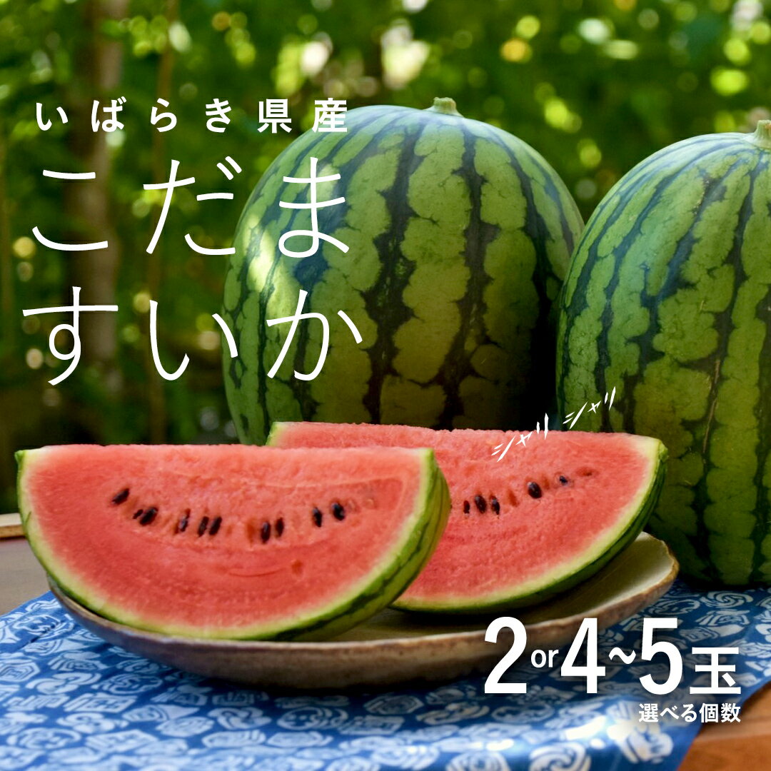 【ふるさと納税】 こだま すいか ( 選べる個数 ) 2玉 4玉～5玉 【2024年5月中旬から発送開始】 小玉すいか こだますいか 小玉 スイカ 西瓜 果物 フルーツ 茨城 農家直送 産地直送のサムネイル