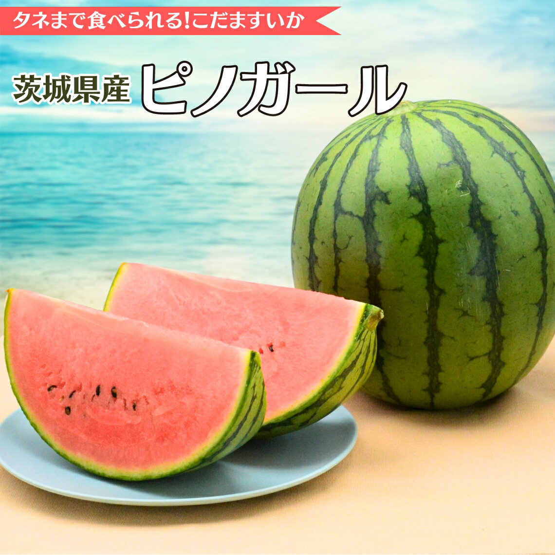 8位! 口コミ数「0件」評価「0」【2024年5月中旬から発送開始】こだますいか ピノガール すいか 小玉すいか 小玉 スイカ 果物 フルーツ