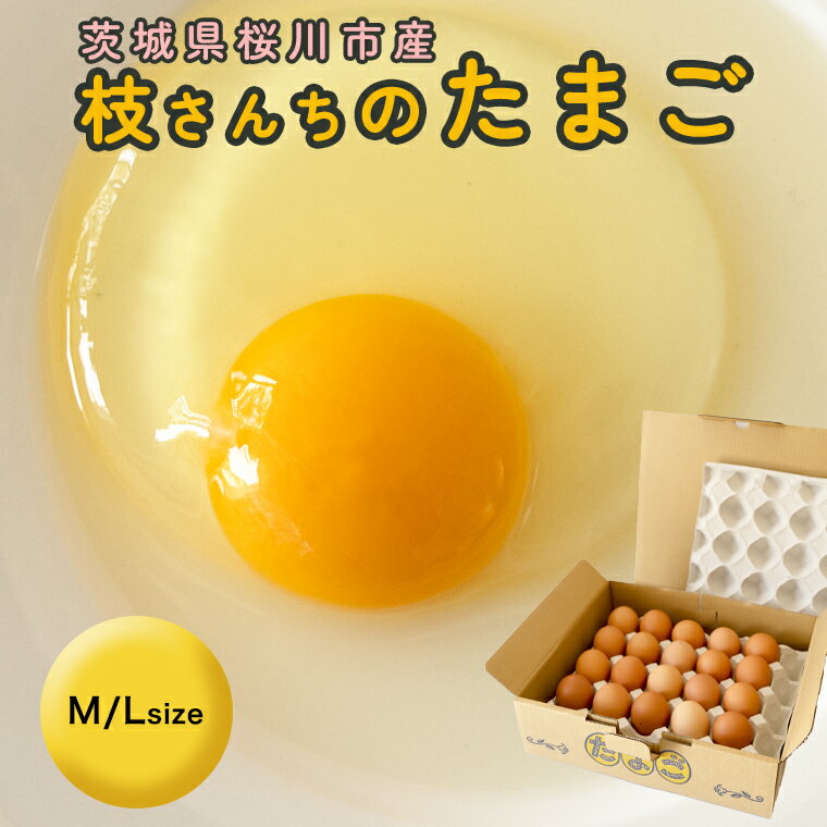 【ふるさと納税】枝さんち の たまご (M〜L 20～40個) 産地直送 たまご 玉子 生卵 鶏卵 タマゴ 平飼い 桜川市産 茨城県産 卵 非遺伝子組換え