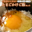 【ふるさと納税】たまごかけご飯セット 卵 玉子 たまご 生卵 鶏卵 タマゴ しょうゆ 醤油 米 コシヒカリ 白米 精米 産地直送 平飼い お..