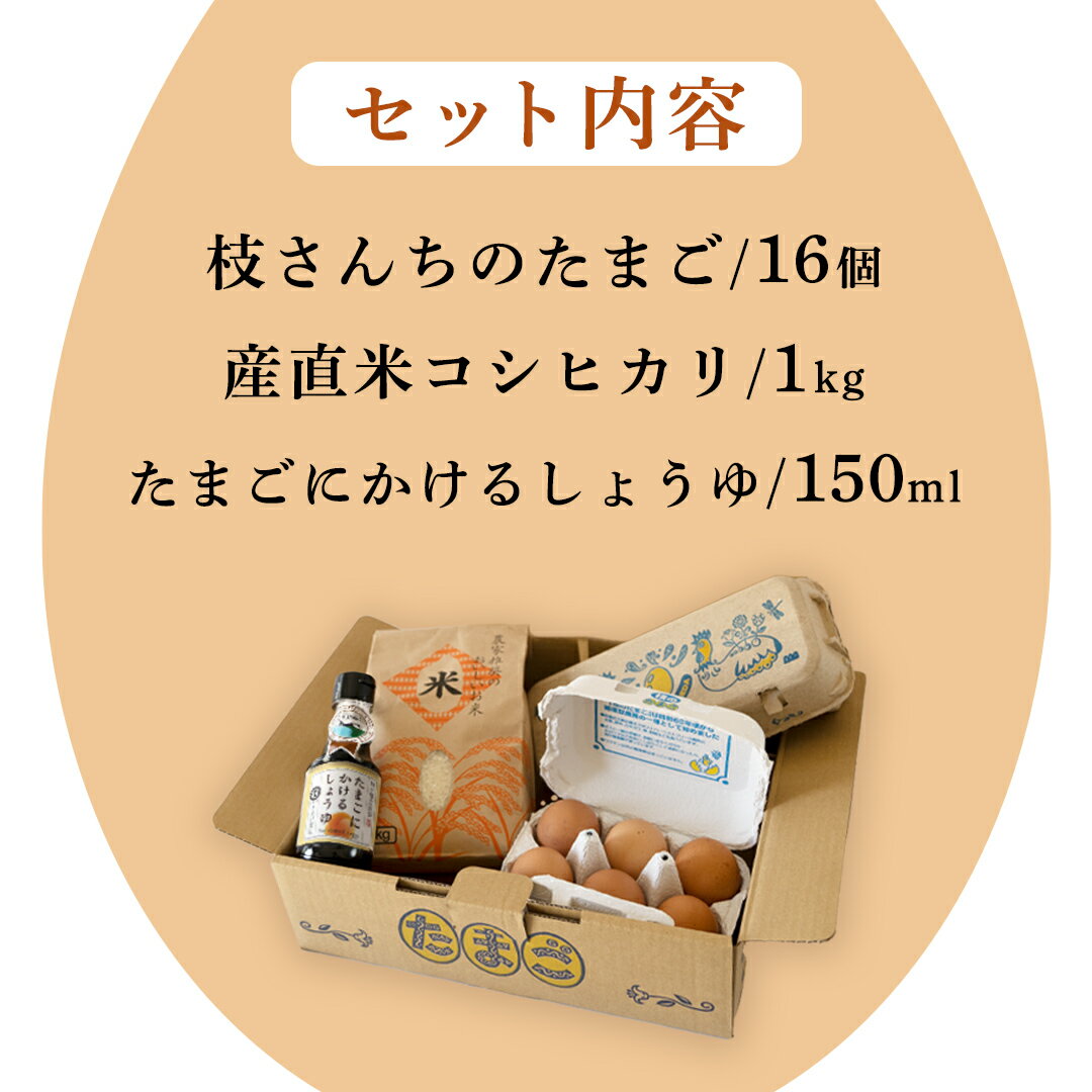 【ふるさと納税】たまごかけご飯セット 卵 玉子 たまご 生卵 鶏卵 タマゴ しょうゆ 醤油 米 コシヒカリ 白米 精米 産地直送 平飼い お取り寄せ 詰め合わせ TKG 卵かけごはん 新生活 一人暮らし 桜川市産 茨城県産