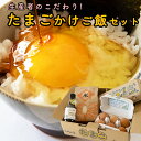 【ふるさと納税】たまごかけご飯セット たまごかけご飯セット 卵 玉子 たまご 生卵 鶏卵 タマゴ しょうゆ 醤油 米 コシヒカリ 白米 精..