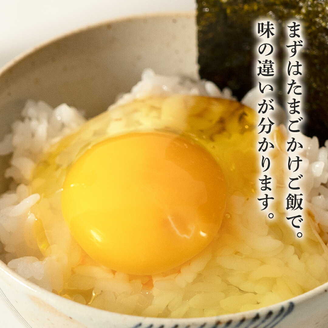【ふるさと納税】【3ヶ月定期便】枝さんち の たまご 20個×3回 合計60個 定期便 産地直送 たまご 玉子 生卵 鶏卵 タマゴ 平飼い 桜川市産 茨城県産 卵 非遺伝子組換え