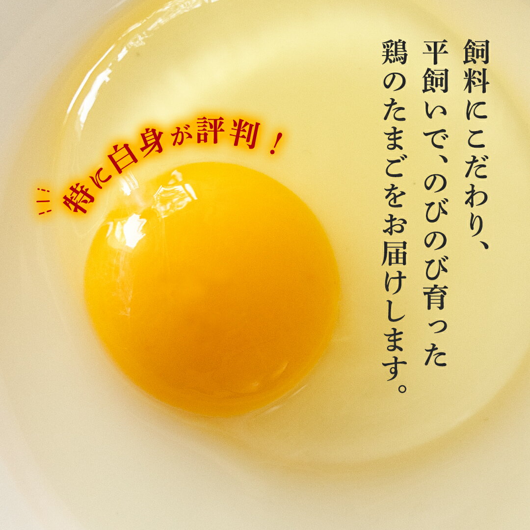 【ふるさと納税】【6ヶ月定期便】枝さんち の たまご 20個×6回 合計120個 定期便 産地直送 たまご 玉子 生卵 鶏卵 タマゴ 平飼い 桜川市産 茨城県産 卵 非遺伝子組換え