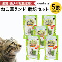【ふるさと納税】Nyantaste ねこ草ランド栽培セット 3回分×5袋 毛玉ケア 猫用 犬用 ペットフード