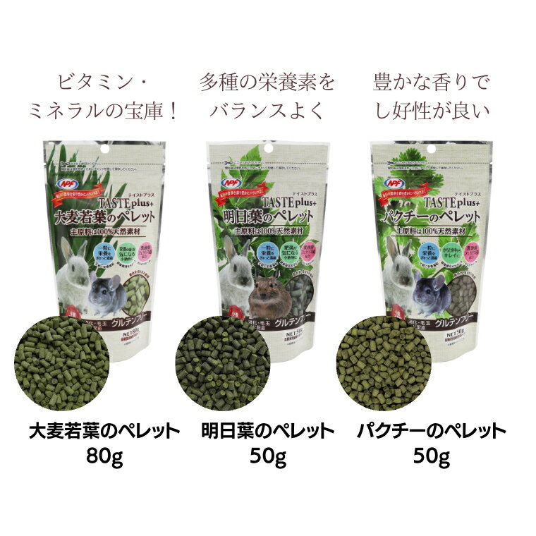 【ふるさと納税】楽天限定 選べる テイストプラスペレット（小松菜・桑の葉・タンポポ・大麦若葉・明日葉・パクチー・ニンジン・キャベツ）×5袋 小動物用 ペットフード うさぎ ウサギ フェレット モルモット チンチラ デグー ハムスター フクロモモンガ フード 小松菜