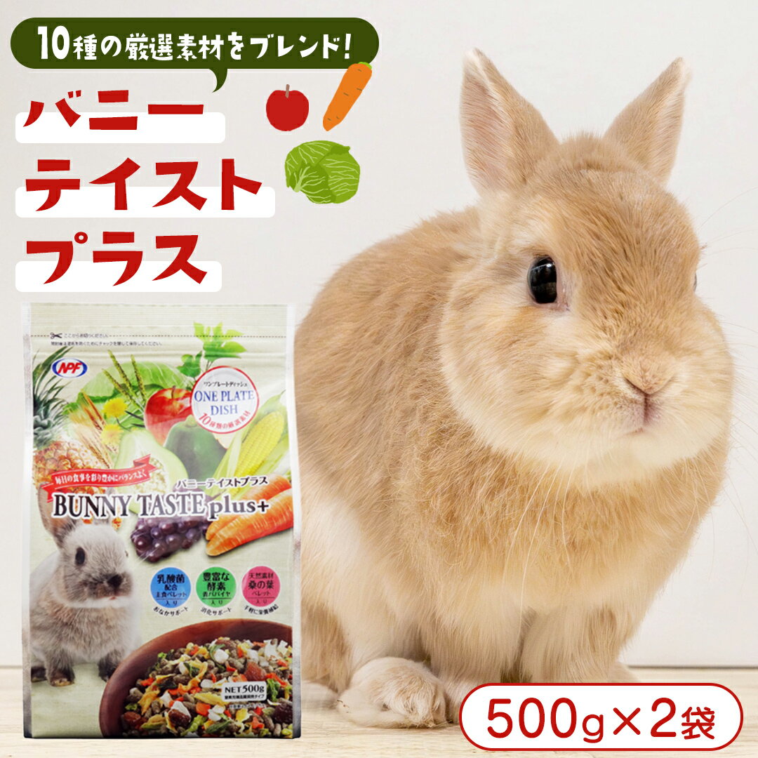 バニー テイストプラス 500g × 2袋 バニー うさぎ 小動物用フード ペットフード おやつ 乳酸菌配合