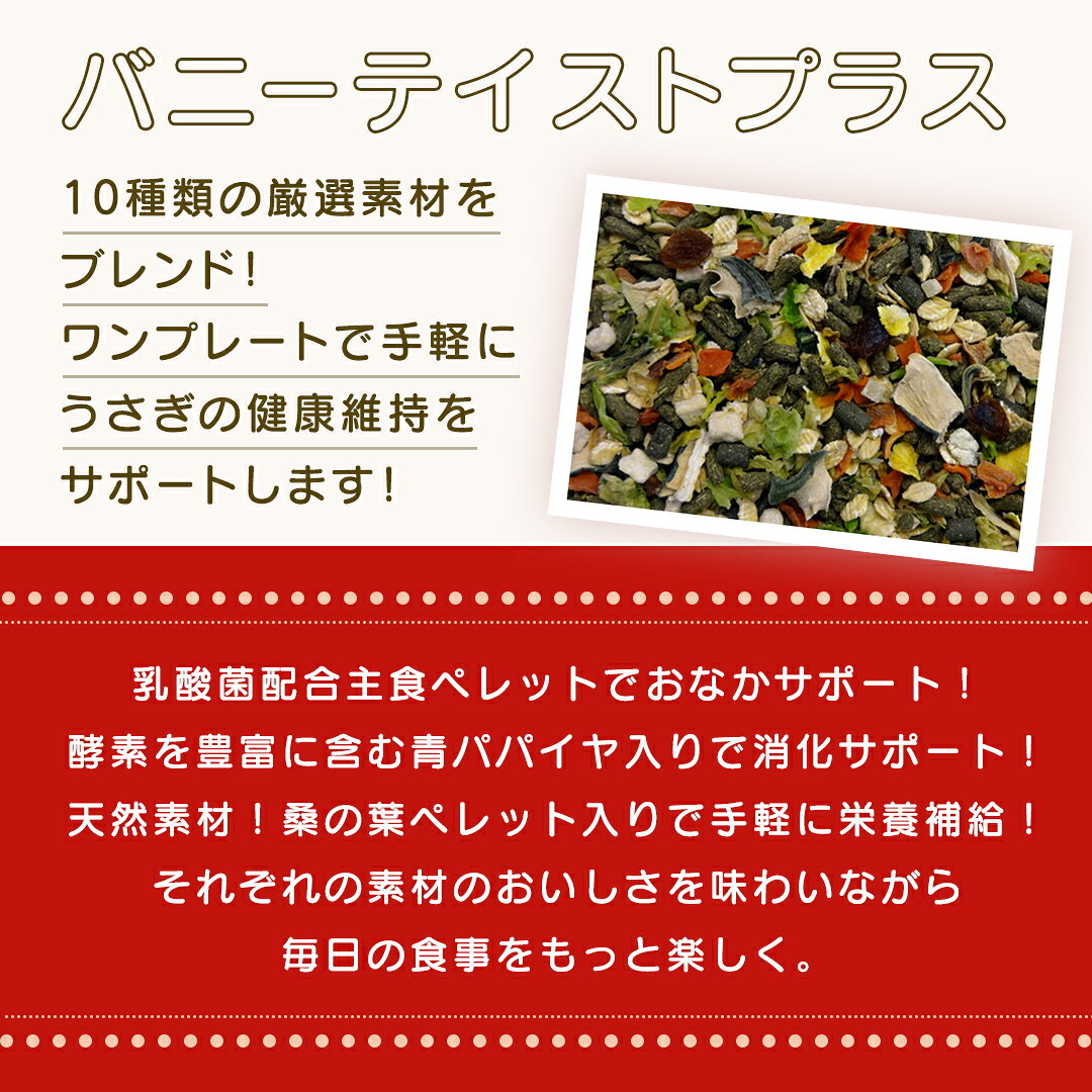 【ふるさと納税】バニー テイストプラス 500g × 2袋 バニー うさぎ 小動物用フード ペットフード おやつ 乳酸菌配合