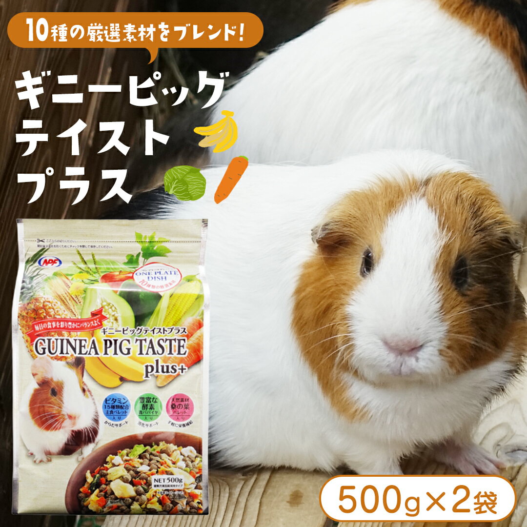 ギニーピッグ テイストプラス 500g × 2袋 ギニーピッグ モルモット 小動物用フード ペットフード おやつ ビタミンC