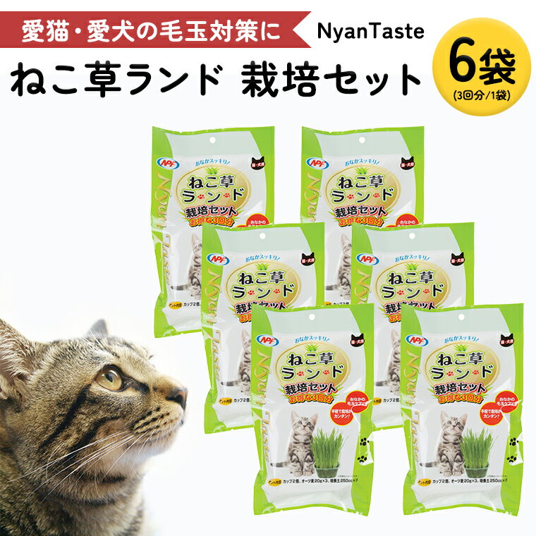 Nyantaste ねこ草ランド栽培セット 3回分×6袋 毛玉ケア 猫用 犬用 ペットフード