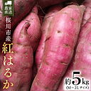 【ふるさと納税】【2025年10月下旬発送開始】桜川産 さつまいも 紅はるか 5kg 茨城県 サツマイモ べにはるか 芋 甘い