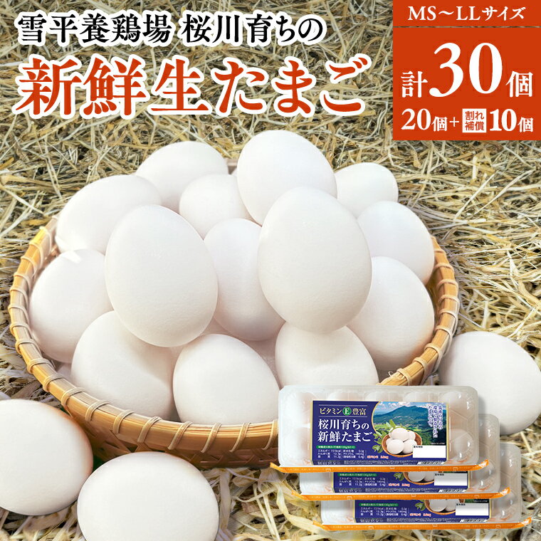 雪平養鶏場 桜川育ちの 新鮮 たまご 合計30個(20個+10個割れ補償付) 数量限定 卵 [SC032sa]