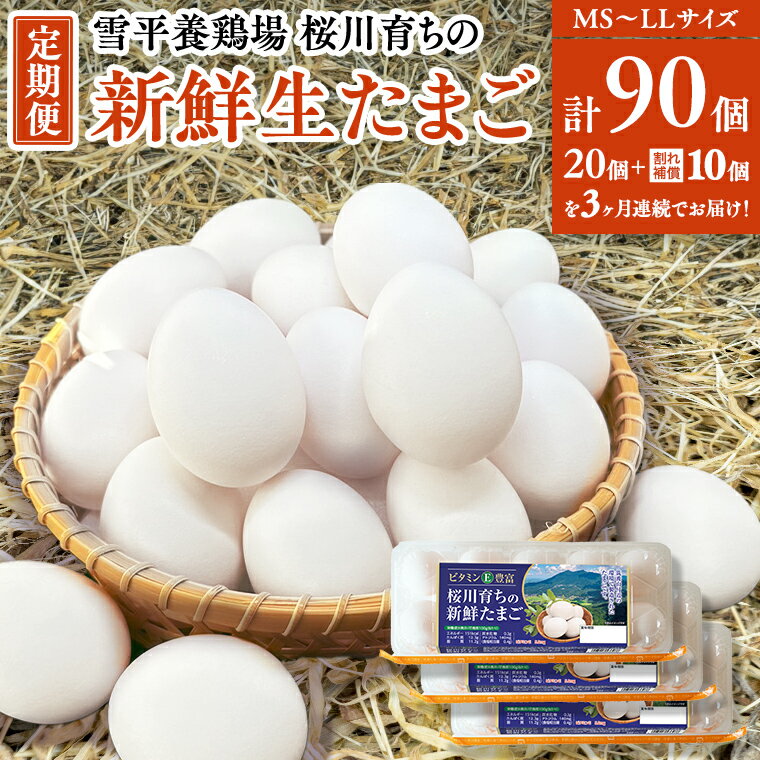 【ふるさと納税】《3ヵ月定期便》雪平養鶏場 桜川育ちの 新鮮