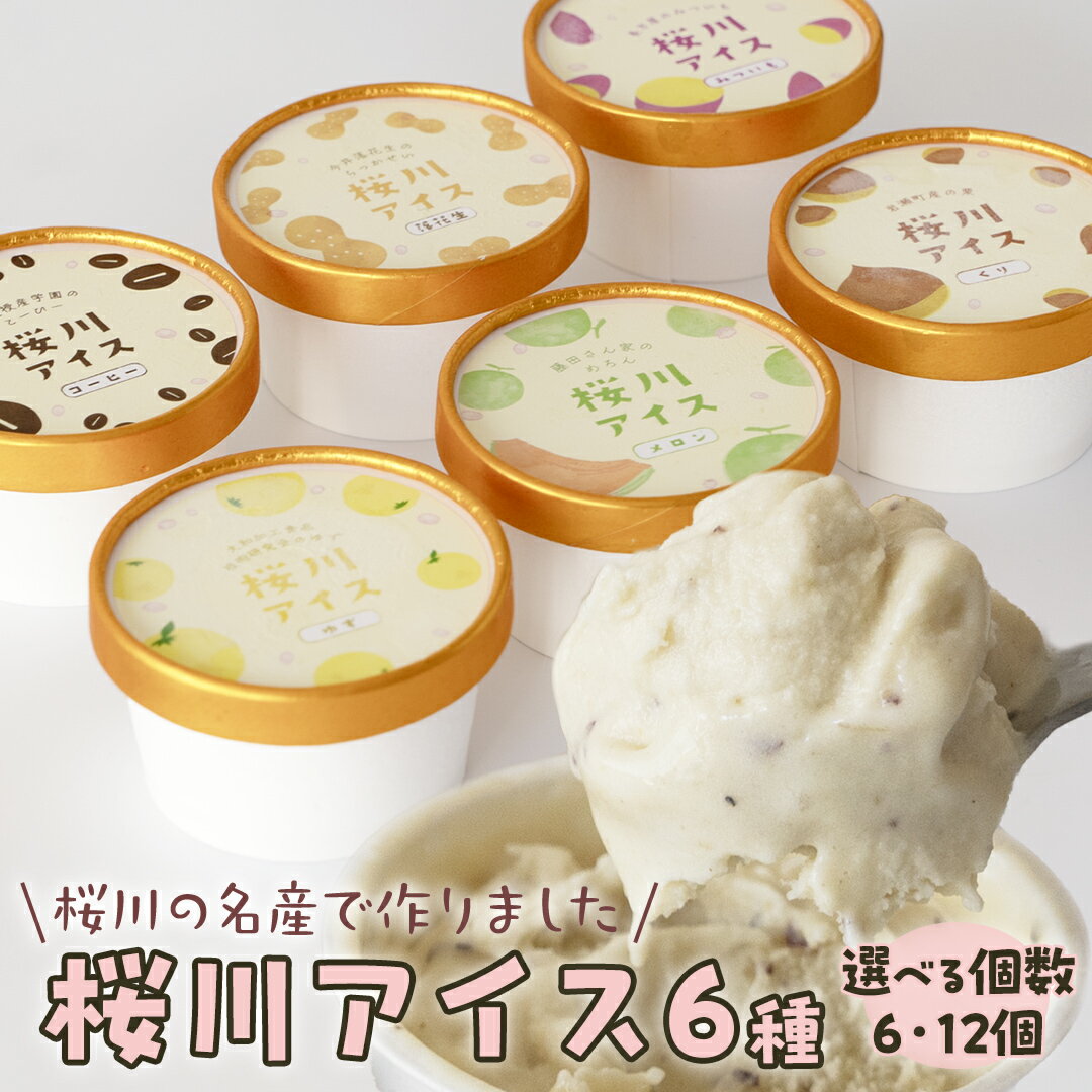 [生産者支援]桜川アイス 6種 6個 or 12個セット 数量限定 食べ比べ 90ml×6種類 桜川市のこだわり素材を使用 アイス あいす デザート スイーツ 産地限定 おやつ カップ フレーバー メロン ゆず 蜜芋 コーヒー 栗 茨城県
