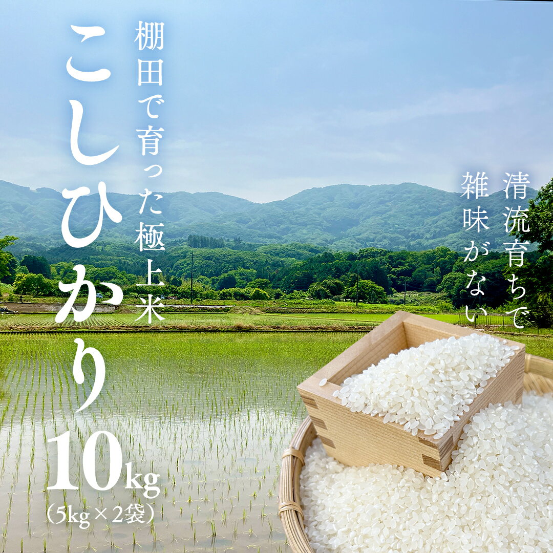 [ 令和7年産 先行予約 ]棚田で育った極上米 こしひかり 10kg ( 5kg × 2袋 ) 米 お米 白米 コメ ごはん 精米 コシヒカリ 国産