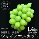 【ふるさと納税】【 9月上旬から発送開始 】【 数量限定 】 ご家庭用シャインマスカット 1.4kg以上(2~3房)茨城県 県産 桜川市 訳あり 農園直送 果物 くだもの 旬の果物 旬のフルーツ シャインマスカット マスカット