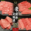 【ふるさと納税】【 定期便 12ヶ月 連続 】 常陸牛 最高級 A5 ランク のみ 極上 プレミアム コース 茨城県共通返礼品 黒毛和牛 国産黒毛和牛 和牛 国...