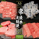 【ふるさと納税】【 定期便 6ヶ月 連続 】 常陸牛 最高級 A5 ランク のみ プレミアム コース 茨城県共通返礼品 黒毛和牛 国産黒毛和牛 和牛 国産 牛肉...