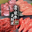 【ふるさと納税】《 常陸牛 》 4ヶ月連続定期便!厳選部位を毎月1品お届け (茨城県共通返礼品) 希少部位 国産黒毛和牛 黒毛和牛 国産 国産牛 和牛 牛肉 お肉 お肉 肉 牛 専門店 ひたち牛 ブランド牛 A4 A5 ランク イチボ ミスジ ステーキ すね肉 挽肉 ブランド 藤井商店