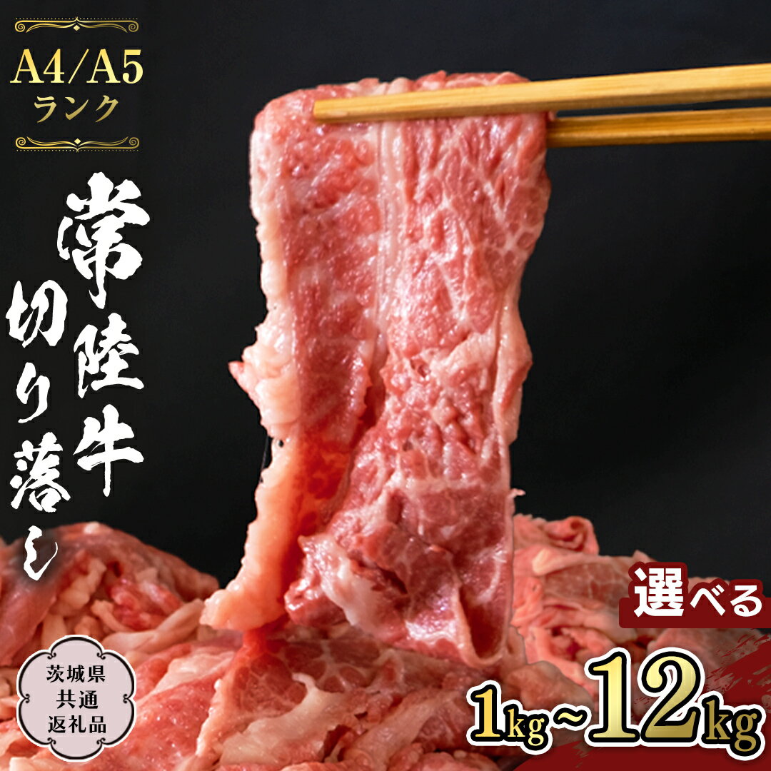 常陸牛 切り落とし 1kg 牛肉 国産牛 和牛 切落し お肉 A4ランク A5ランク ブランド牛 切り落し すき焼き 定期便 小分け 冷凍 (茨城県共通返礼品) 黒毛和牛 国産黒毛和牛