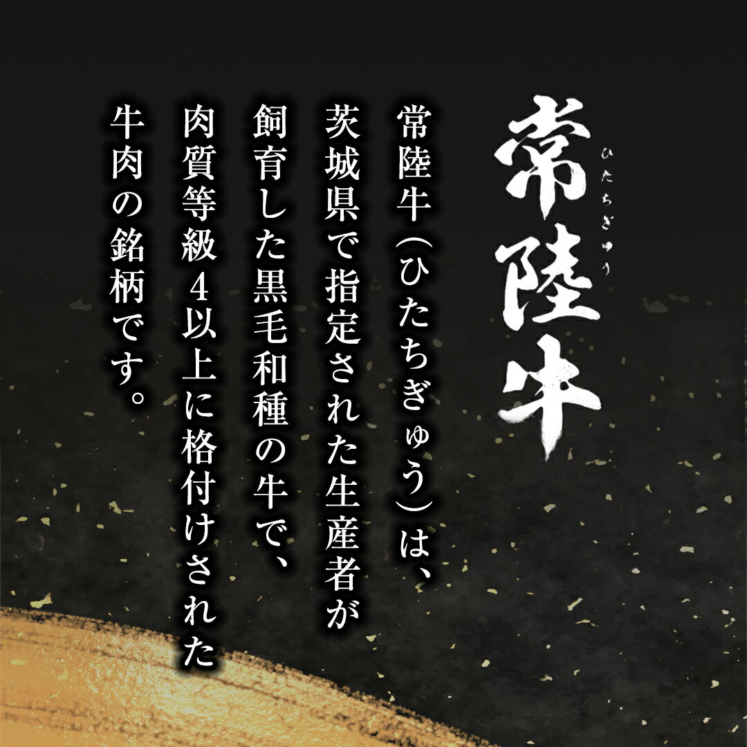 【ふるさと納税】＼レビューキャンペーン 実施中／ 《 常陸牛 100％ 》ハンバーグ 130g × 10個 ソース付 (茨城県共通返礼品) 国産 和牛 総菜 高級 簡単 お土産 ギフト グルメ ブランド牛 冷凍 黒毛和牛 国産黒毛和牛 国産牛