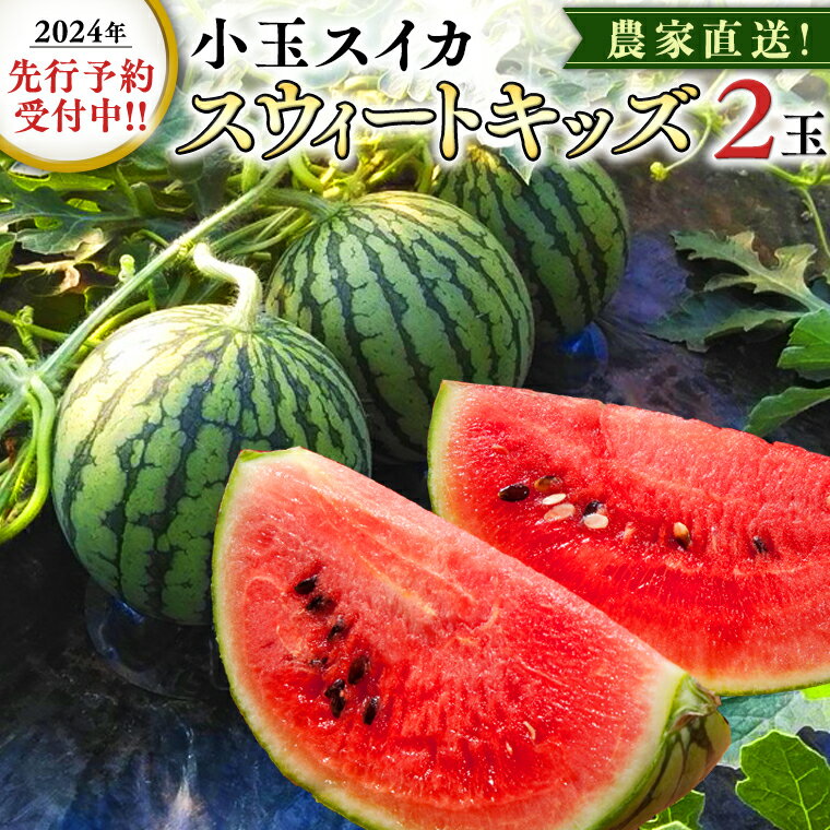 7位! 口コミ数「0件」評価「0」《2024年5月上旬より発送開始》 農家直送 小玉スイカ スウィートキッズ 2玉 セット 先行予約 農家直送 すいか フルーツ 旬 甘い ギ･･･ 