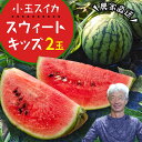 【ふるさと納税】 小玉 スイカ スウィートキッズ 2玉 セット 小玉スイカ すいか 西瓜 こだますいか フルーツ 果物 くだもの 農家直送 旬 甘い ギフト 人気 産直 【2025年5月下旬より発送開始】