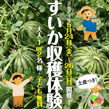 すいか 収穫 体験 チケット 【 大人 1名 or 2名 様 +子ども 無料】 2024年5月24日（金）～26日（日） 開催 ！ すいか スイカ 西瓜 すいか狩り 収穫 体験 チケット お土産 思い出