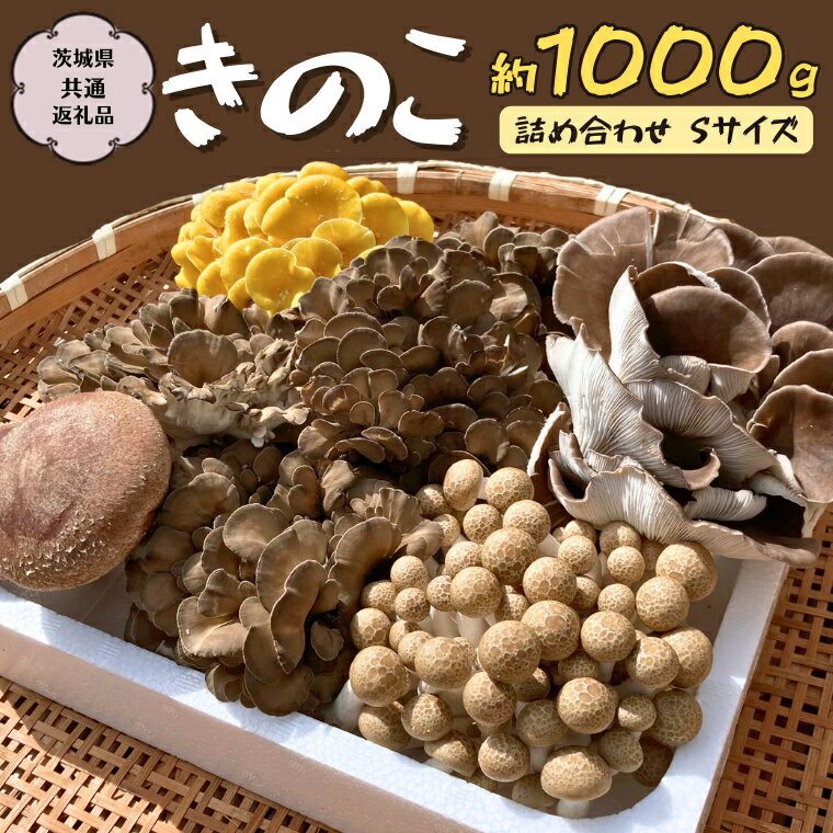 【ふるさと納税】きのこ の 詰め合わせ Sサイズ 約1000g【茨城県共通返礼品 城里町】 キノコ 舞茸 あわび茸 たもぎ茸 しいたけ ぶなしめじ 1