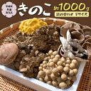 11位! 口コミ数「0件」評価「0」きのこ の 詰め合わせ Sサイズ 約1000g【茨城県共通返礼品 城里町】 キノコ 舞茸 あわび茸 たもぎ茸 しいたけ ぶなしめじ