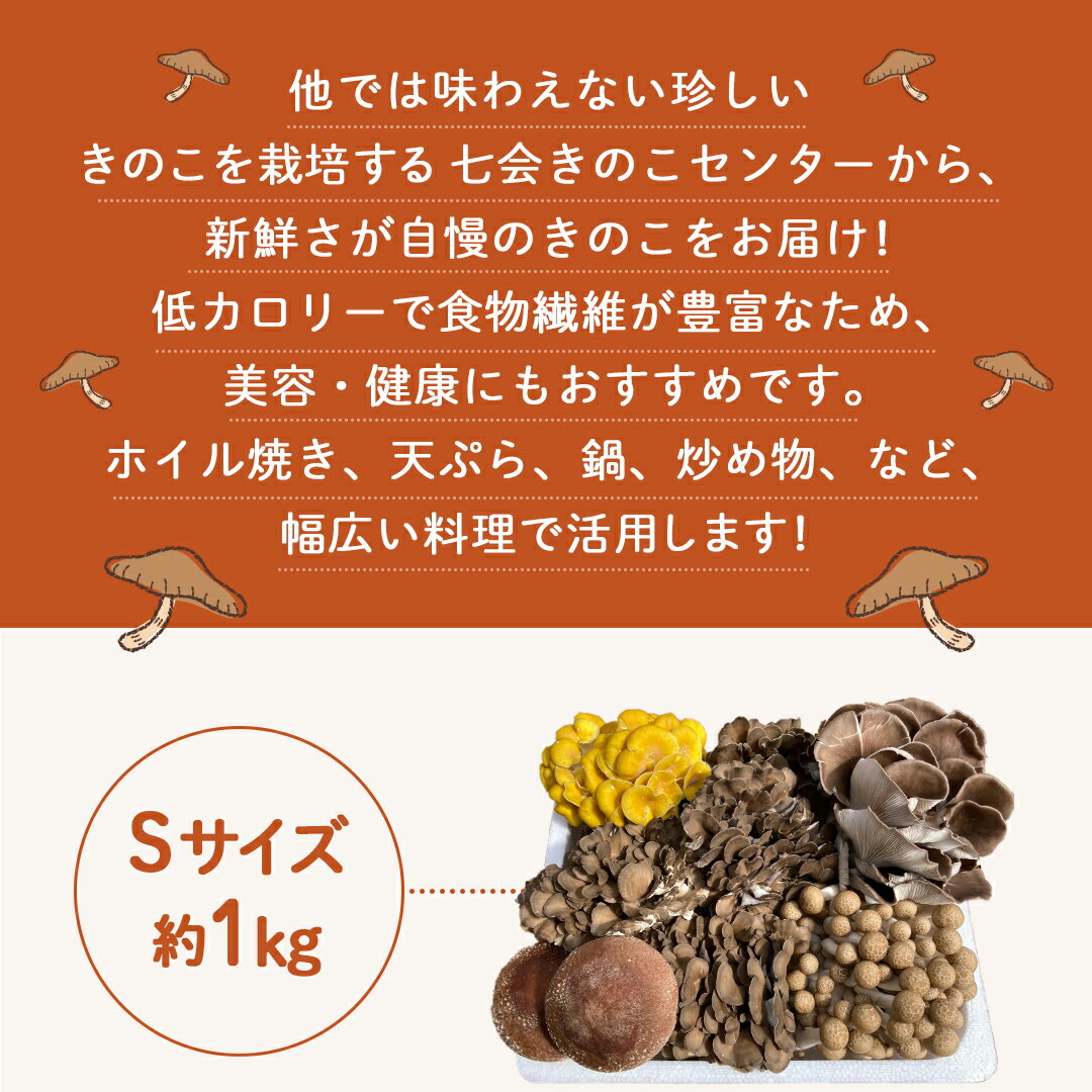 【ふるさと納税】《 定期便も選べる 》 きのこ の 詰め合わせ 約1～2kg （茨城県共通返礼品 城里町） 定期便 S M L キノコ 舞茸 あわび茸 たもぎ茸 しいたけ ぶなしめじ セット 鍋 炒め物