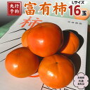 柿 【ふるさと納税】《 2024年 先行予約 》 富有柿 L 16玉 (茨城県共通返礼品 石岡市) 2024年10月下旬発送開始 果物 くだもの フルーツ 柿 かき