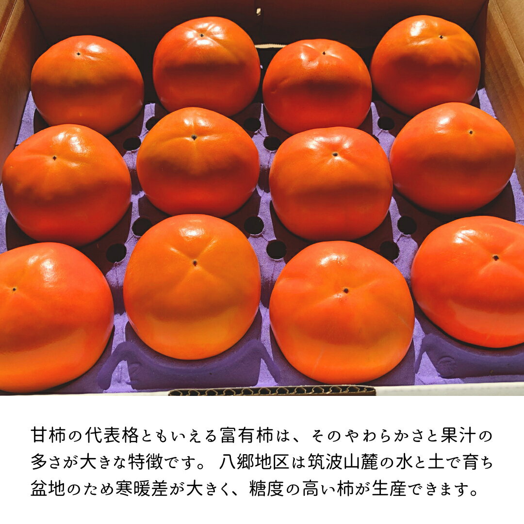 【ふるさと納税】 《 先行予約 2025年11月中旬以降発送 》 富有柿 2L 14玉 (茨城県共通返礼品 石岡市) 果物 くだもの フルーツ 柿 かき