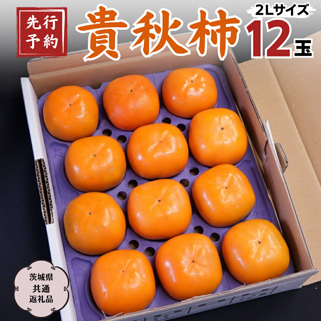 【ふるさと納税】《 2024年 先行予約 》 貴秋柿 2L 12玉 茨城県共通返礼品 石岡市 2024年10月中旬発送開始 果物 くだもの フルーツ 柿 かき