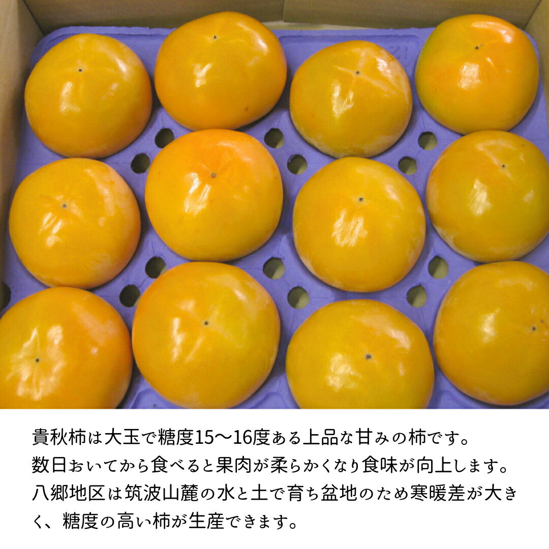 【ふるさと納税】《 2024年 先行予約 》 貴秋柿 2L 12玉 (茨城県共通返礼品 石岡市) 2024年10月中旬発送開始 果物 くだもの フルーツ 柿 かき