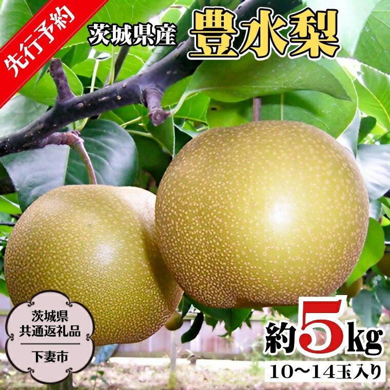 【ふるさと納税】《 先行予約 》 茨城県産 豊水 梨5kg 10玉～14玉入り (茨城県共通返礼品 ／下妻市） ( 2024年8月上旬発送開始 ) 梨 数量限定 なし ナシ フルーツ 果物 旬 産地直送 JA 常総ひかり