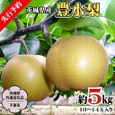 【ふるさと納税】《 先行予約 》 茨城県産 豊水 梨5kg 10玉～14玉入り (茨城県共通返礼品  ...