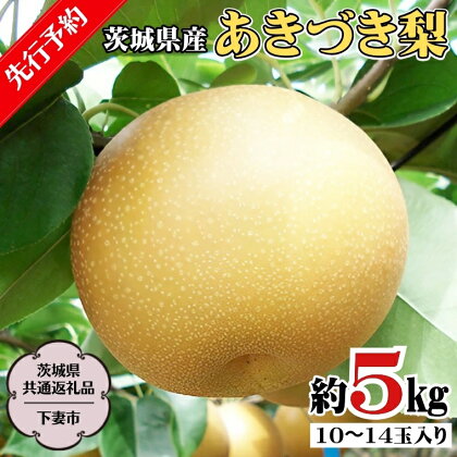 《 先行予約 》 茨城県産 あきづき 梨 5kg 8玉～12玉入り (茨城県共通返礼品／下妻市） ( 2024年8月上旬発送開始 ) 梨 数量限定 なし ナシ フルーツ 果物 旬 産地直送 JA 常総ひかり