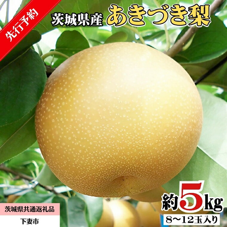 【ふるさと納税】《 先行予約 》 茨城県産 あきづき 梨 5kg 8玉～12玉入り (茨城県共通返礼品／下妻市） ( 2024年8月上旬発送開始 ) 梨 数量限定 なし ナシ フルーツ 果物 旬 産地直送 JA 常総ひかりのサムネイル