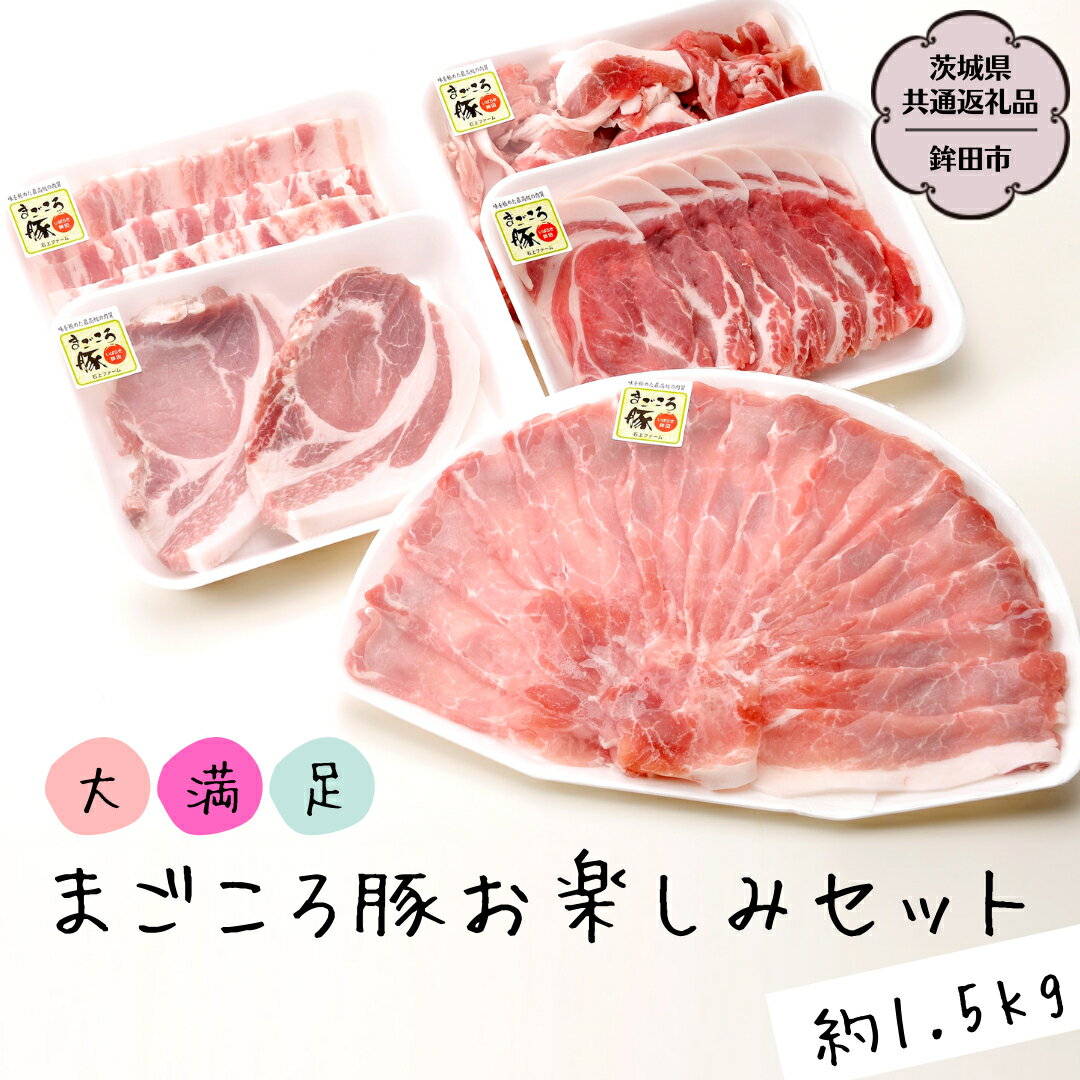 【ふるさと納税】大満足！まごころ豚 お楽しみ セット 約1.5kg（茨城県共通返礼品 鉾田市） ブランド豚 銘柄豚 豚肉 モモしゃぶしゃぶ 肩ロース バラ ロース こま切れ 焼肉 しょうが焼 仲田精肉店