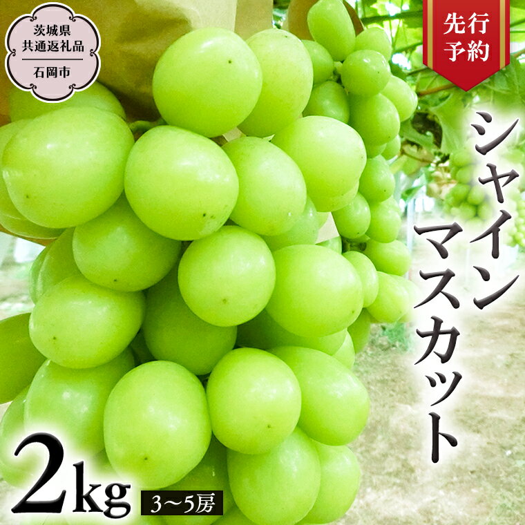 【ふるさと納税】《 先行予約 》 シャインマスカット 約2kg (茨城県共通返礼品 石岡市） 開田ぶどう園 産地直送 フルーツ 甘い 直送 茨城 限定 ギフト ぶどう シャインマスカット 果物