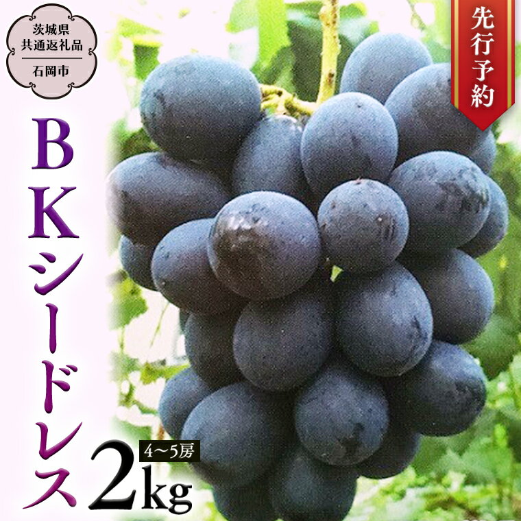 《 先行予約 》 BKシードレス 約2kg (茨城県共通返礼品 石岡市） 開田ぶどう園 産地直送 フルーツ 甘い 直送 茨城 限定 ギフト ぶどう BKシードレス 果物