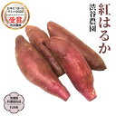 【ふるさと納税】2025年度産 紅はるか 約5kg 約10kg【茨城県共通返礼品/行方市】 \選べる内容量/ 渋谷農園 さつまいも いも 芋 焼芋