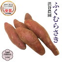 【ふるさと納税】 ふくむらさき 〈 選べる内容量 〉 【茨城県共通返礼品/行方市】2025年11月から発送開始 渋谷農園 さつまいも いも 芋 焼き芋