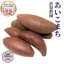 【ふるさと納税】あいこまち 〈 選べる内容量 〉 【茨城県共通返礼品/行方市】 2025年11月から発送開始 渋谷農園 さつまいも いも 芋 焼き芋