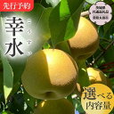 梨 【ふるさと納税】《 先行予約 》茨城県産 梨 幸水 【茨城県共通返礼品／常陸太田市】 約3kg 約5kg 桧山果樹園 農家直送 フルーツ 甘い 直送 茨城 限定 ギフト 梨 幸水 こうすい 果物