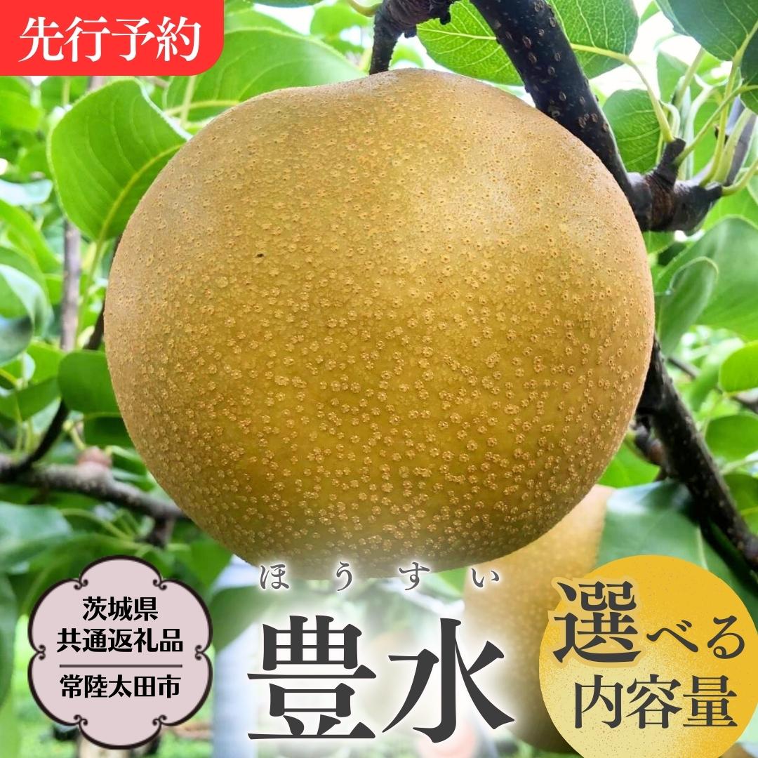 【ふるさと納税】《2025年8月下旬発送開始》 茨城県産 梨 「 豊水 」【茨城県共通返礼品/常陸太田市】 約3kg 約5kg 桧山果樹園 農家直送 桧山果樹園 農家直送 フルーツ 甘い 直送 茨城 限定 ギフト 梨 豊水 ほうすい 果物