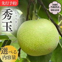 梨 【ふるさと納税】《 先行予約 》 『幻の梨』茨城県産 梨 秀玉【茨城県共通返礼品／常陸太田市】 約3kg 約5kg 桧山果樹園 農家直送 桧山果樹園 農家直送 フルーツ 甘い 直送 茨城 限定 ギフト 梨 秀玉 しゅうぎょく 果物