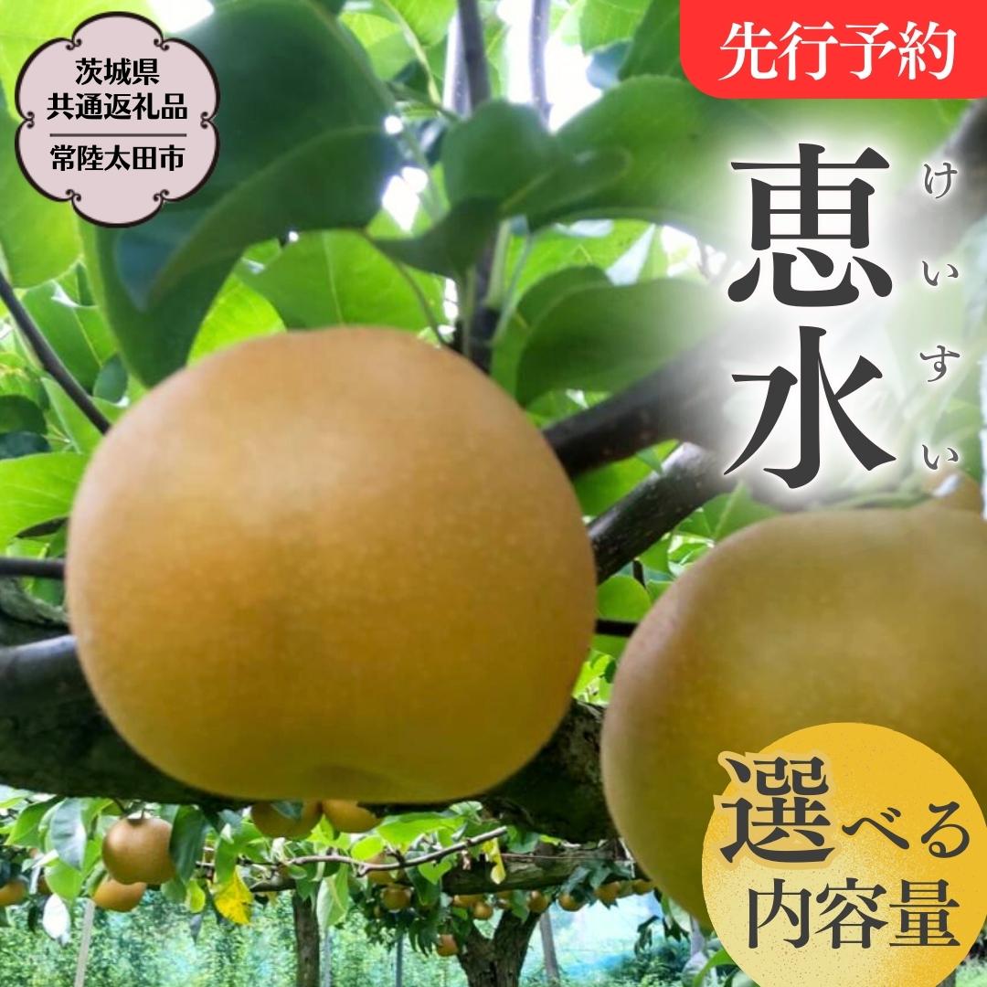 【ふるさと納税】《 先行予約 》 茨城県産 梨 恵水【茨城県共通返礼品／常陸太田市】 約3kg 約5kg 桧山..